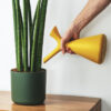 Golden Pothos Pole - Imagen 2